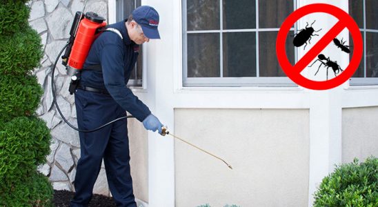 Merzifon Kene İlaçlama böcek ilaçlama ve haşere kontrolü — ilaclama-tr.com